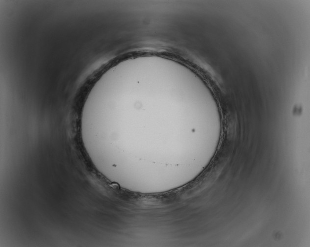 X0000103331448200809261149