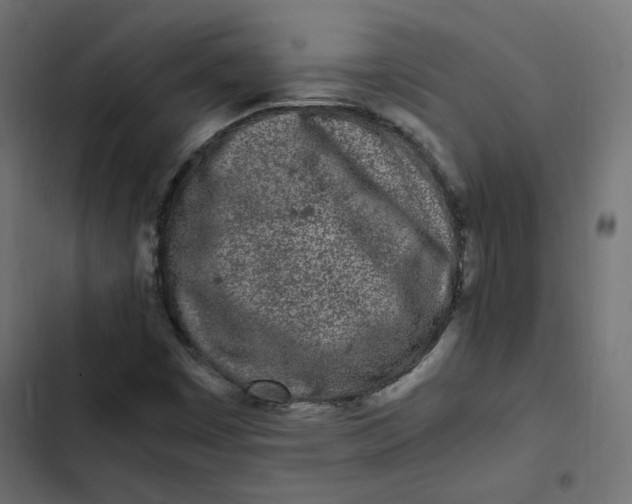 X0000103331449200809261149