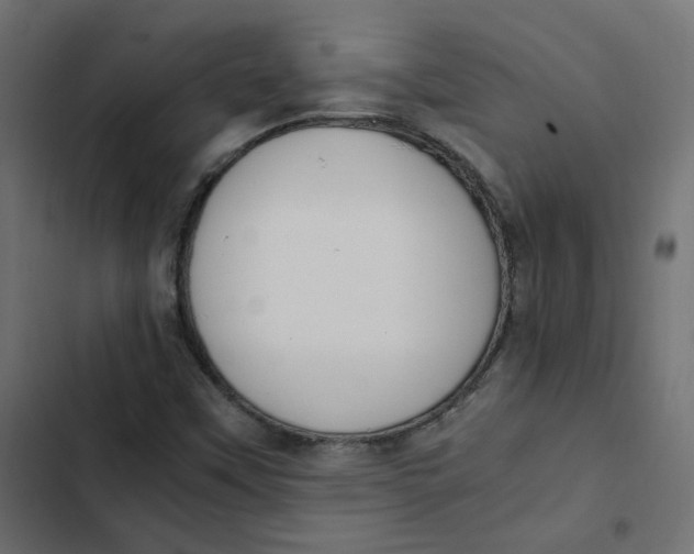 X0000103331451200809261149