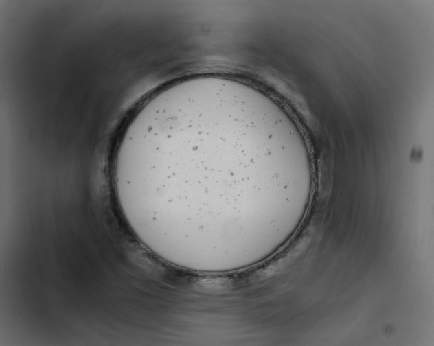 X0000103331453200809261149