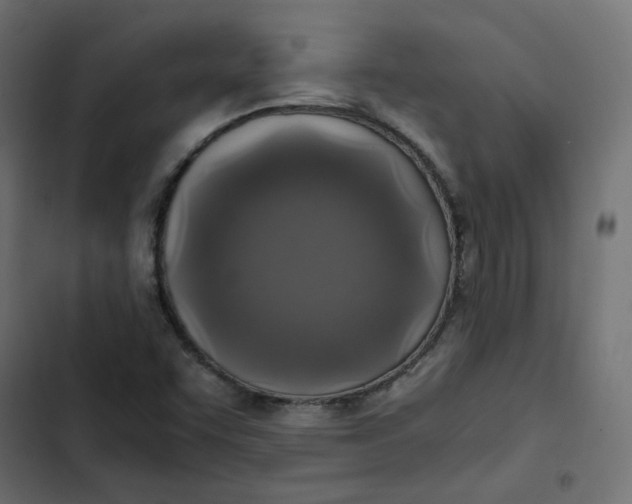 X0000103331455200809261149