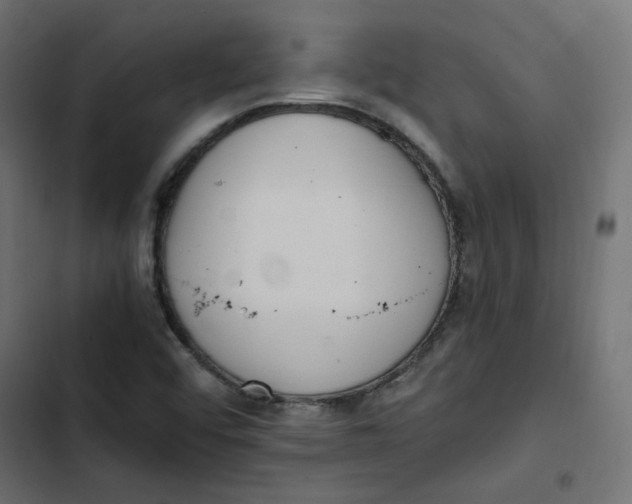 X0000103331456200809261149