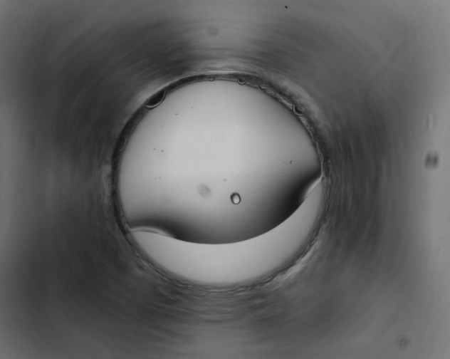 X0000103331457200809261149