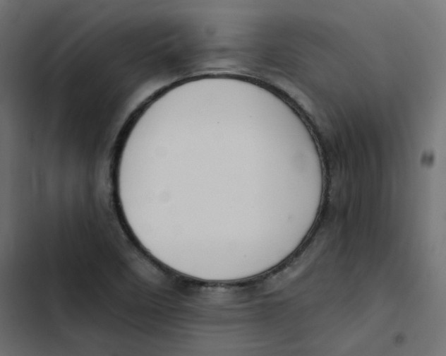 X0000103331458200809261149