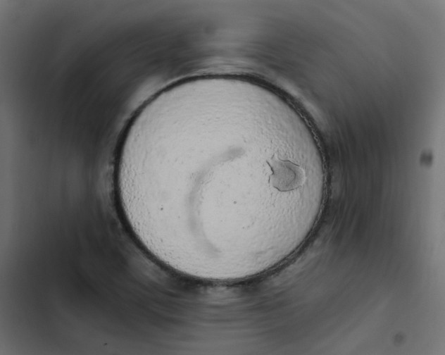 X0000103331459200809261149