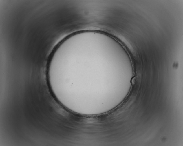 X0000103331460200809261149