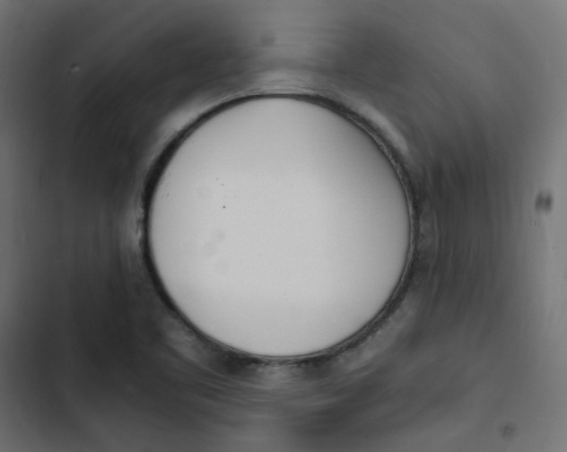 X0000103331461200809261149