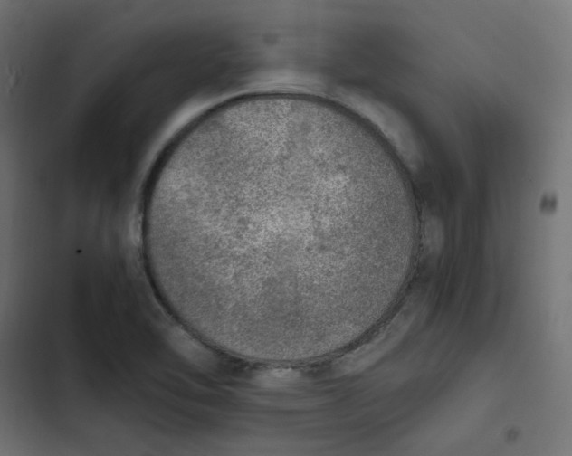 X0000103331462200809261149