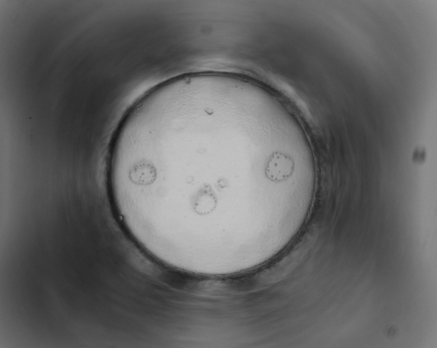 X0000103331463200809261149