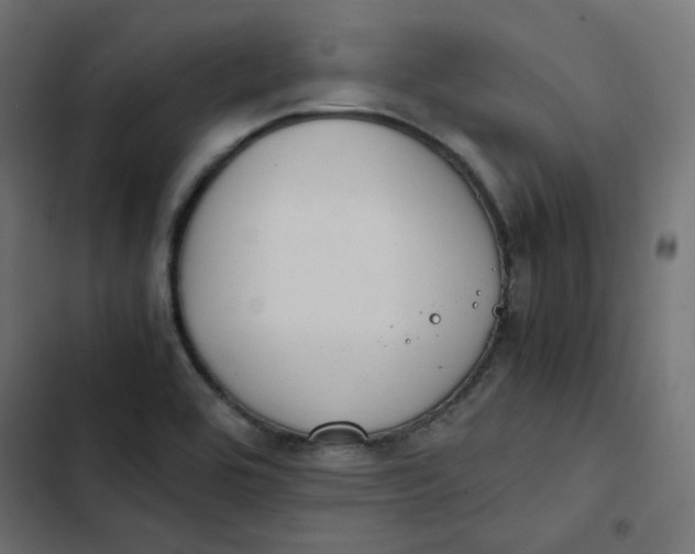 X0000103331464200809261149