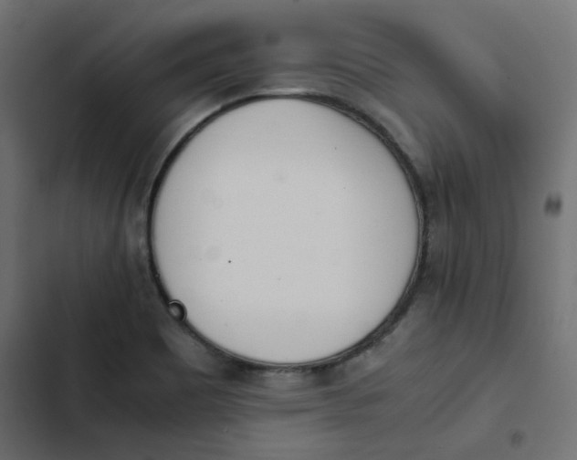 X0000103331465200809261149