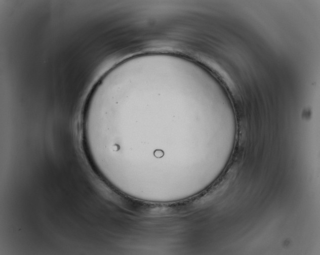 X0000103331467200809261149