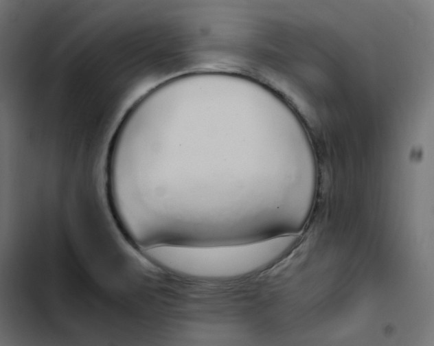 X0000103331471200809261149