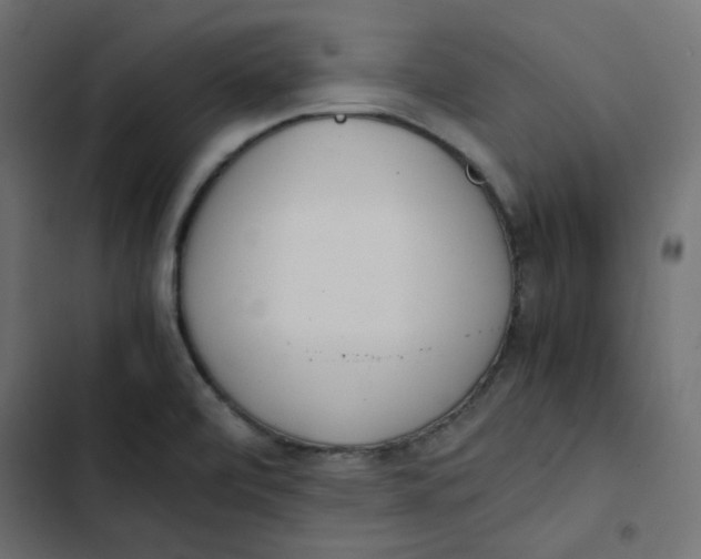 X0000103331472200809261149