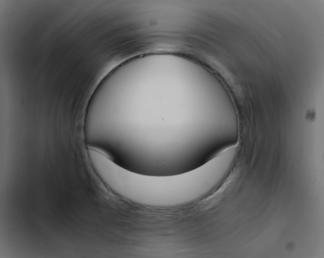 X0000103331473200809261149