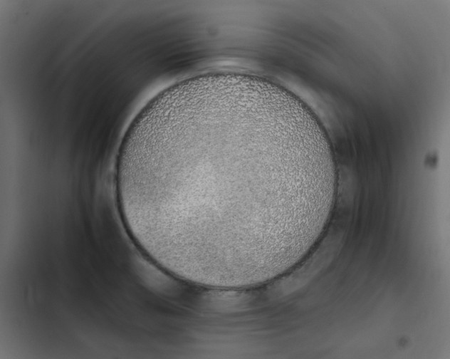 X0000103331474200809261149