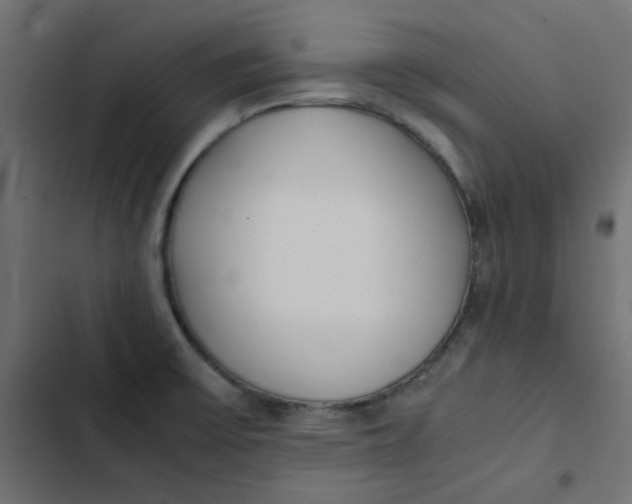 X0000103331475200809261149