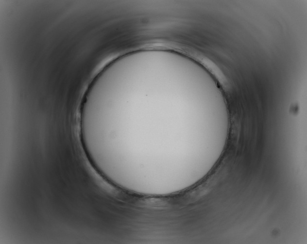 X0000103331476200809261149