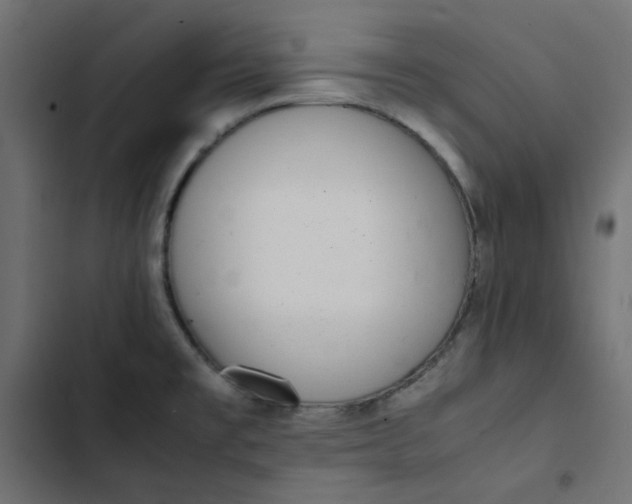 X0000103331477200809261149