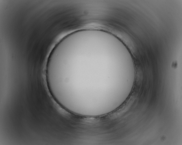 X0000103331478200809261149