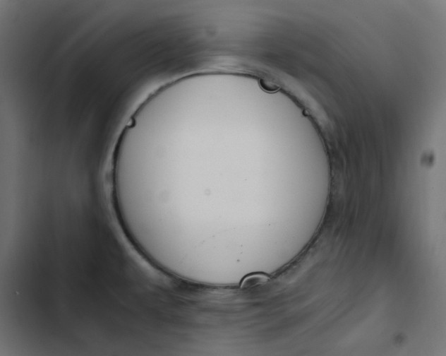 X0000103331479200809261149