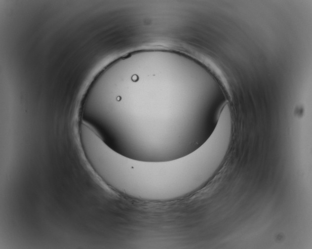 X0000103331480200809261149