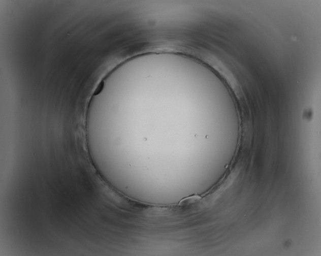 X0000103331481200809261149