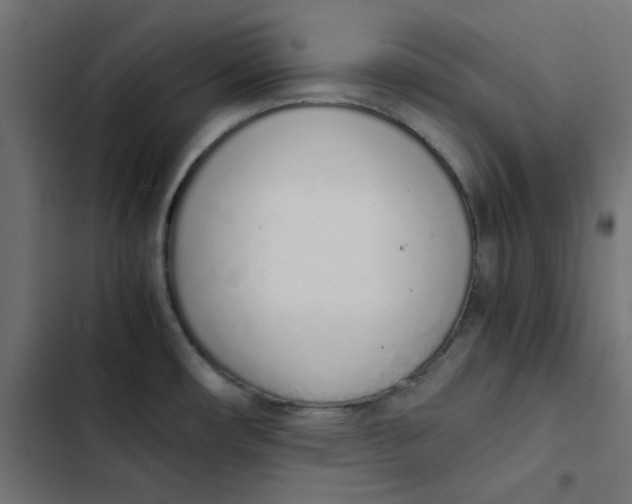 X0000103331482200809261149