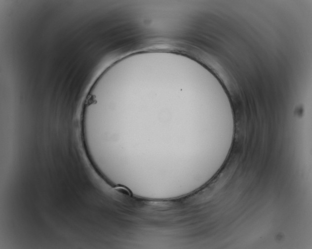 X0000103331483200809261149