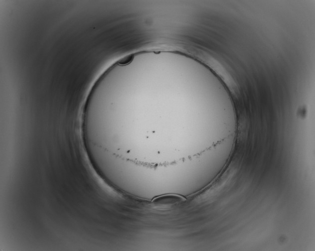 X0000103331484200809261149