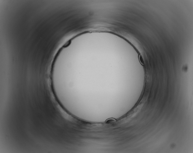 X0000103331485200809261149