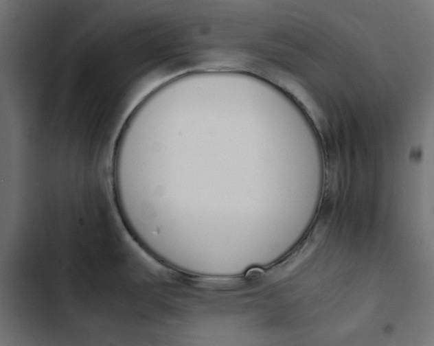 X0000103331487200809261149