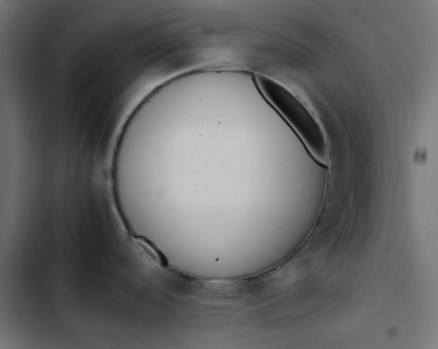 X0000103331488200809261149