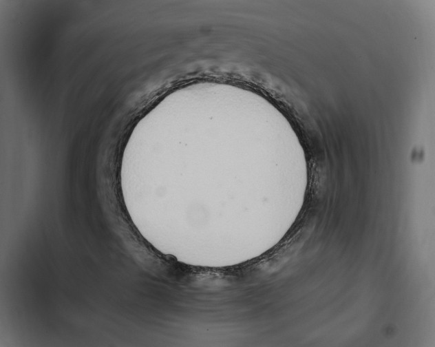 X0000103331489200809261148