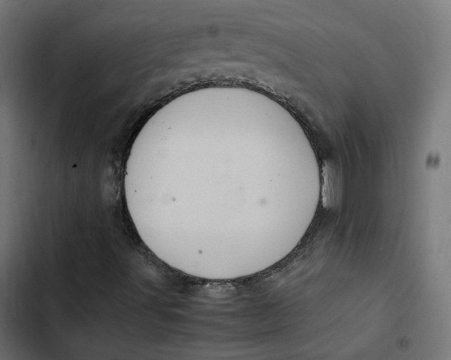 X0000103331491200809261148