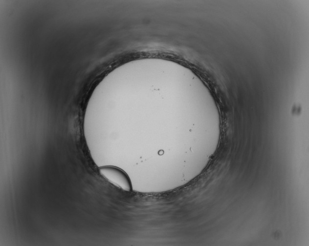 X0000103331493200809261148