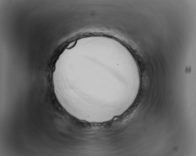 X0000103331494200809261148