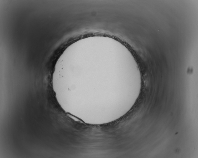 X0000103331495200809261148