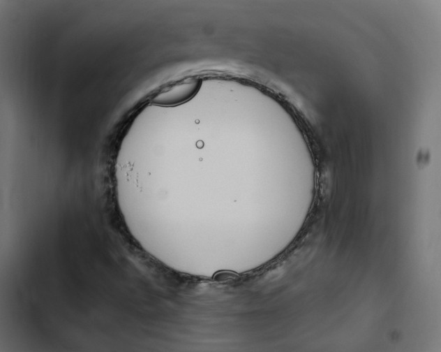 X0000103331496200809261148