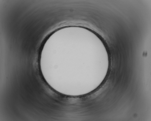 X0000103331498200809261148