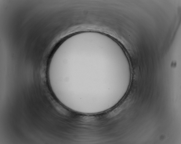 X0000103331499200809261148