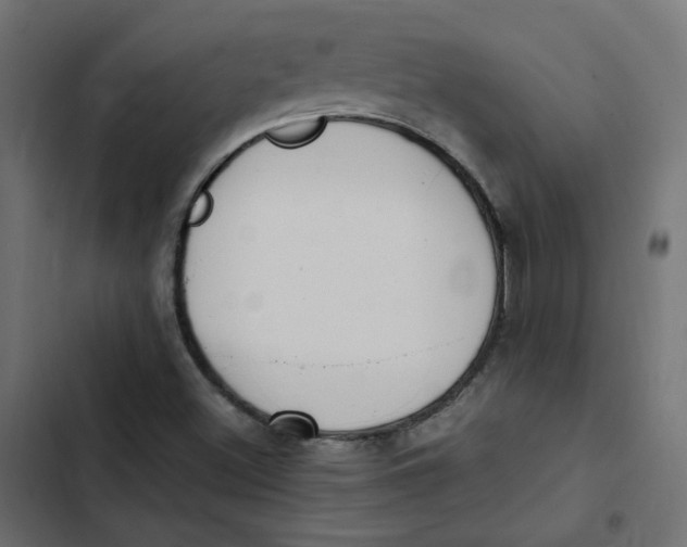 X0000103331500200809261148