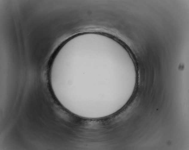 X0000103331501200809261148