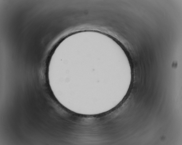 X0000103331502200809261148