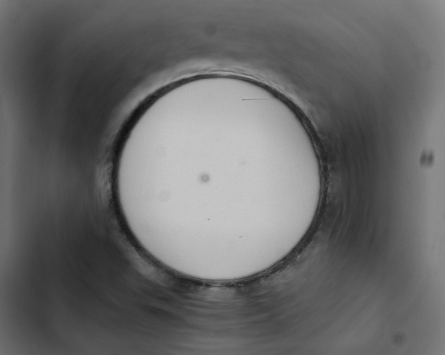 X0000103331503200809261148