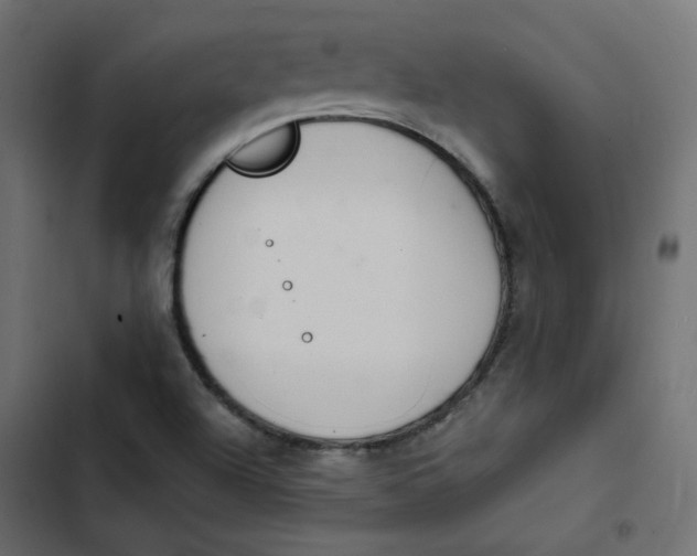 X0000103331504200809261148