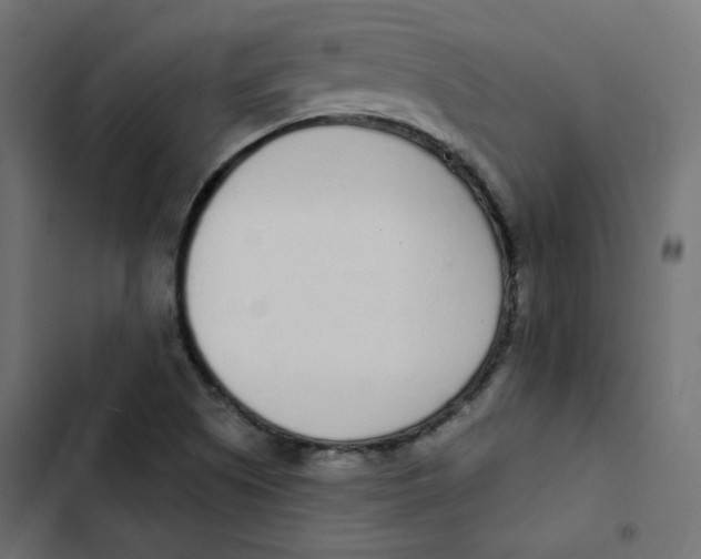 X0000103331505200809261148