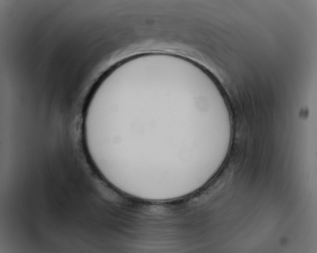 X0000103331507200809261148