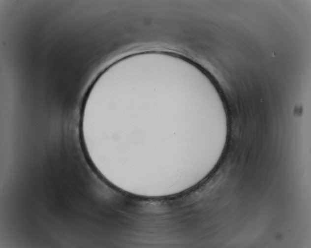 X0000103331508200809261148