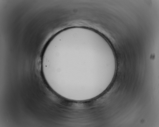 X0000103331509200809261148